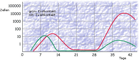 Vergleich Erstkontakt - Zweitkontakt